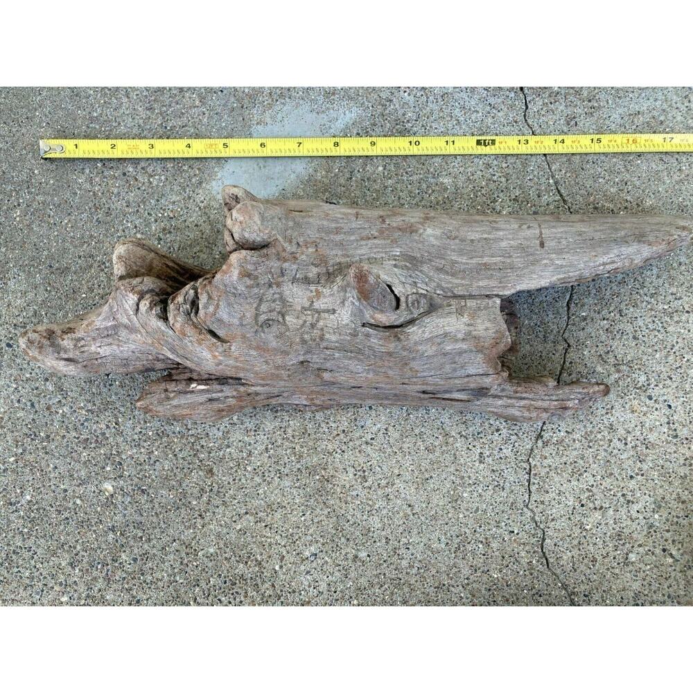 Ohio River Driftwood 17"x5"x3.5"